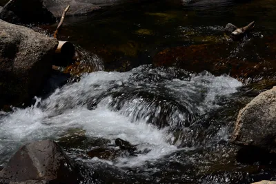 DSC_3694 (Large).JPG